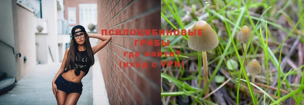 тгк Белокуриха