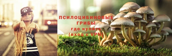 тгк Белокуриха