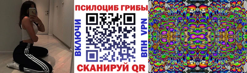 Псилоцибиновые грибы Cubensis  Купить закладки  Ейск 
