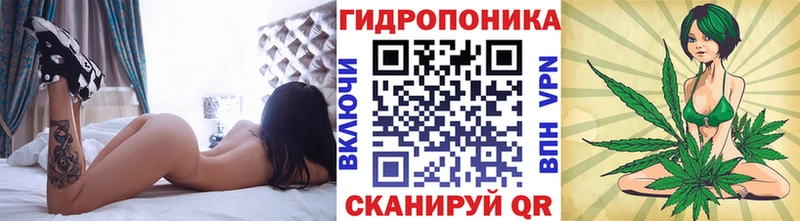 Купить закладки  Ейск  Бошки марихуана White Widow 